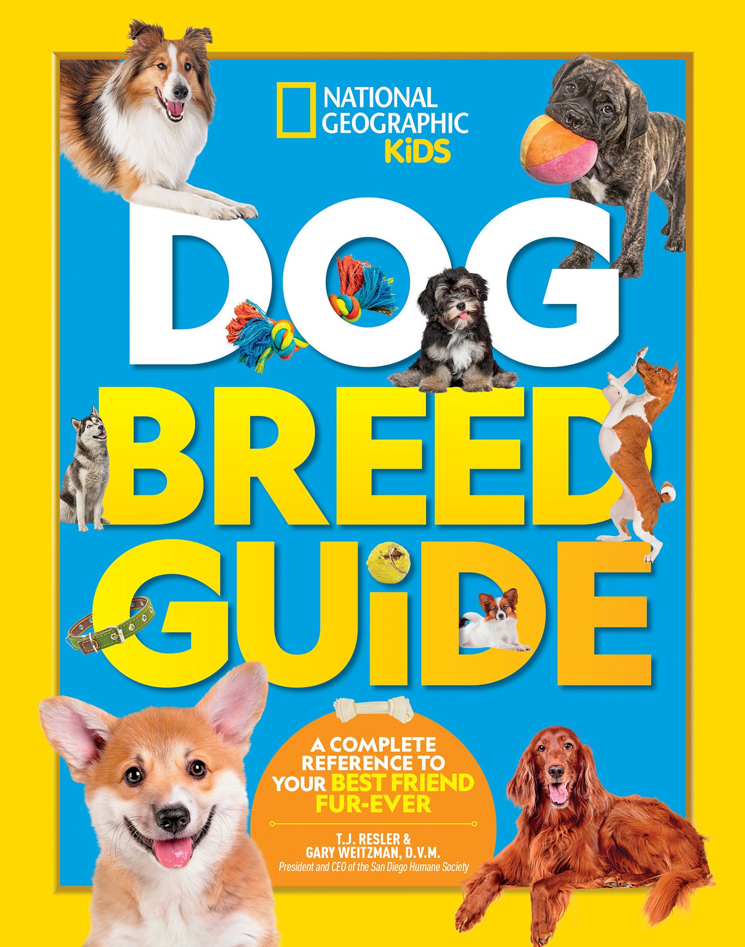 Dog Breed Guide: A Complete Reference to Your Best Friend Fur-ever