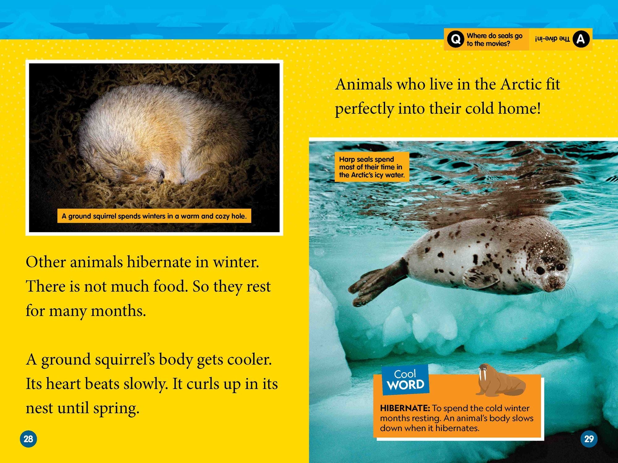Arctic Animals (National Geographic Kids Readers, Level 2)