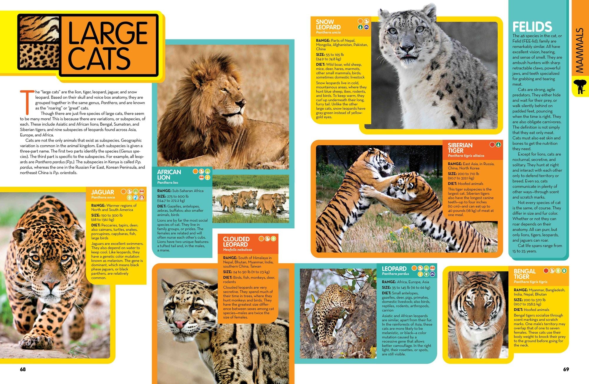 National Geographic Kids Animal Encyclopedia, 2nd Edition: 2,500 Animals with Photos, Maps, and More!