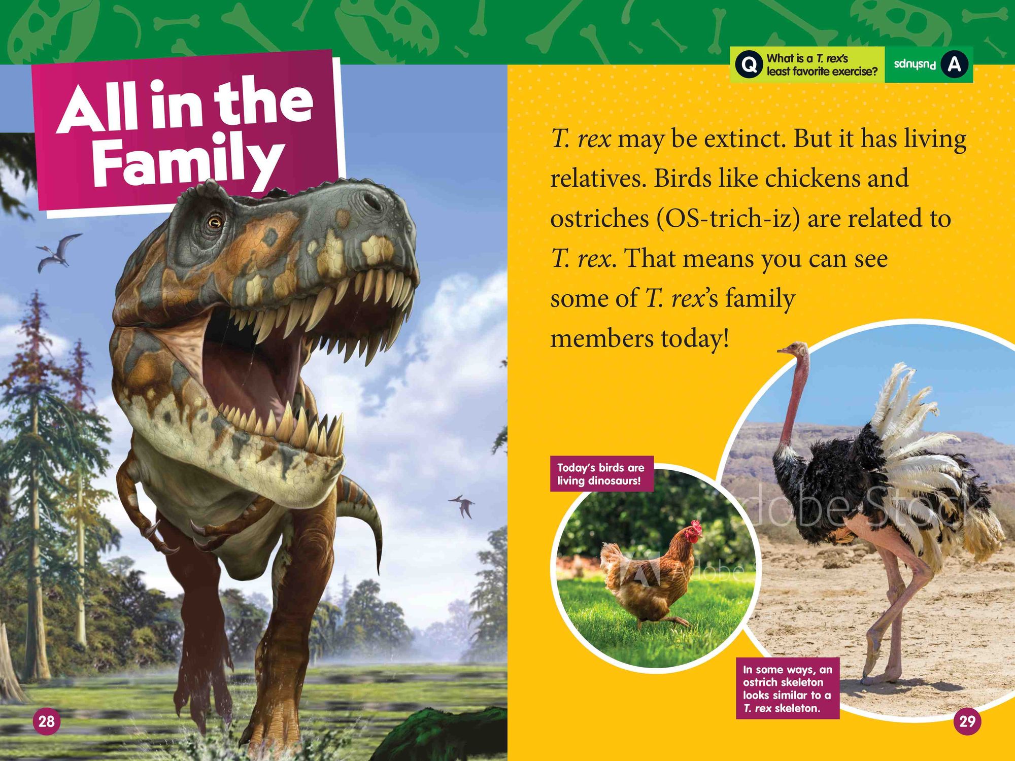 T. rex (National Geographic Kids Readers, Level 1)
