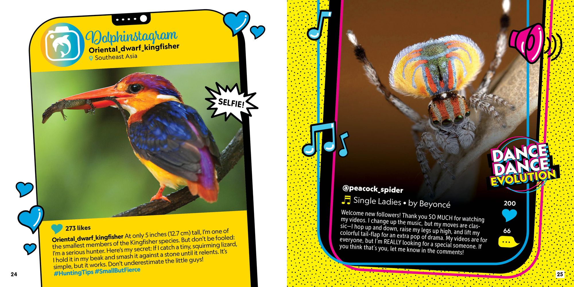Critter Chat: World Wild Web