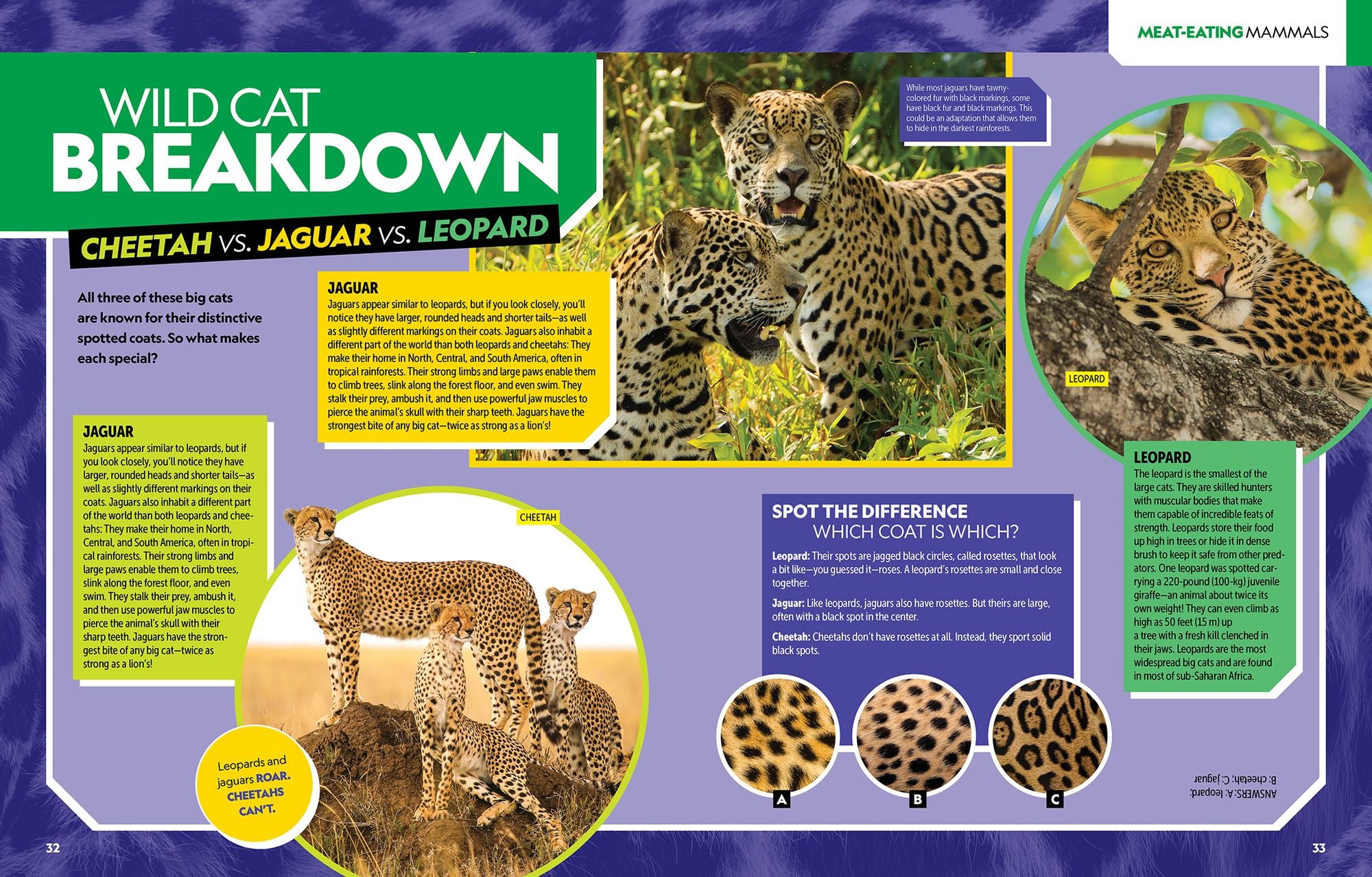 National Geographic Kids Ultimate Mammalpedia: The Most Complete Mammal Reference Ever
