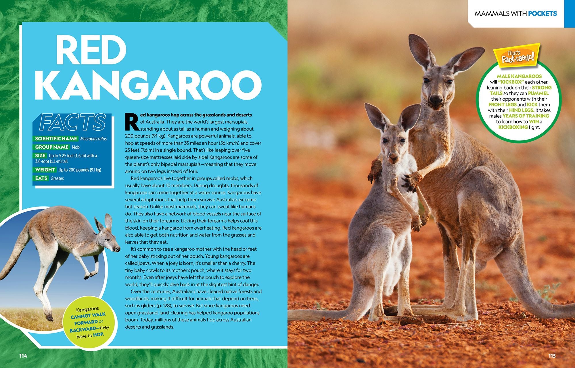 National Geographic Kids Ultimate Mammalpedia: The Most Complete Mammal Reference Ever