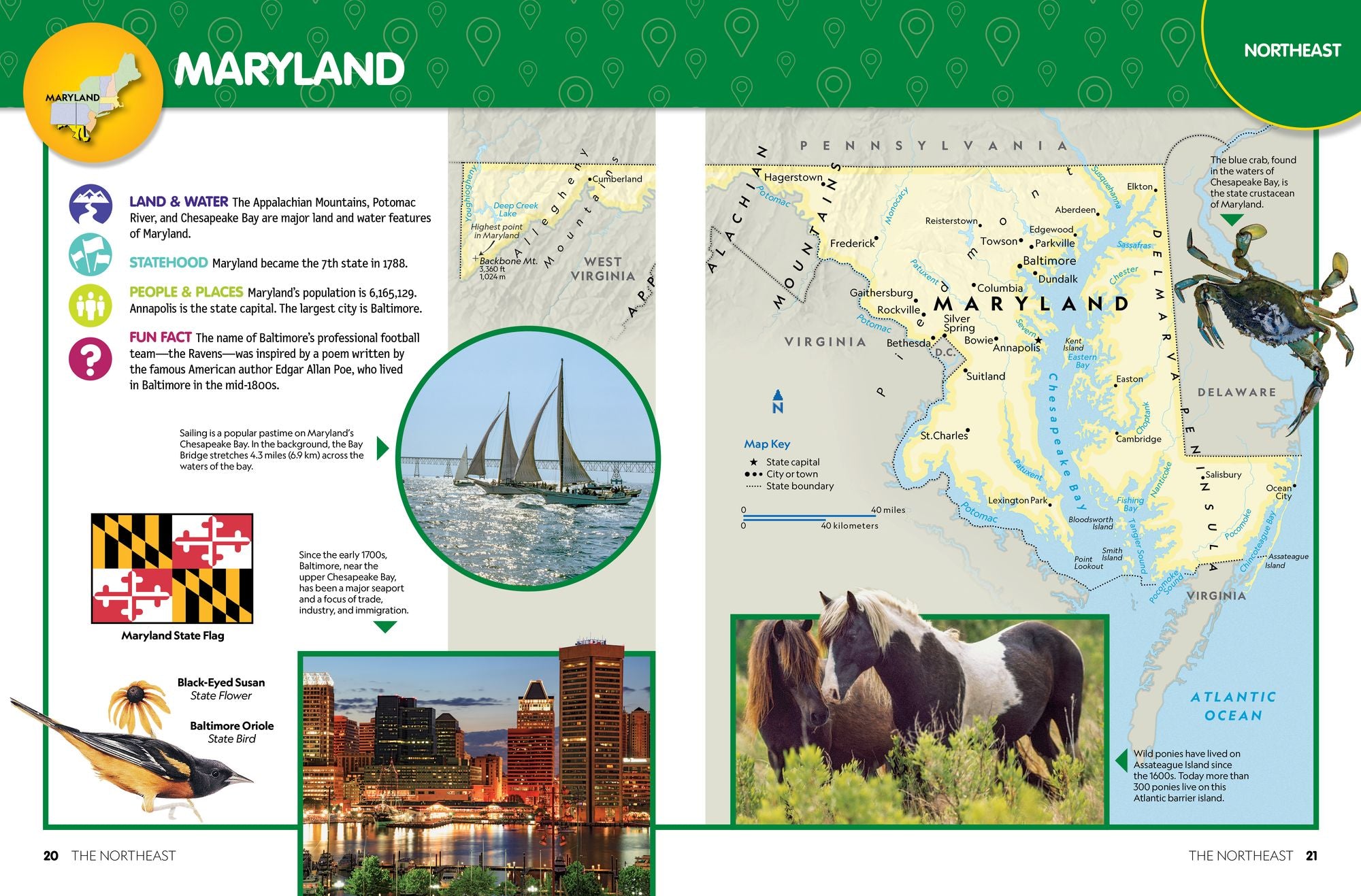 National Geographic Kids Beginner's U.S. Atlas 4th Edition