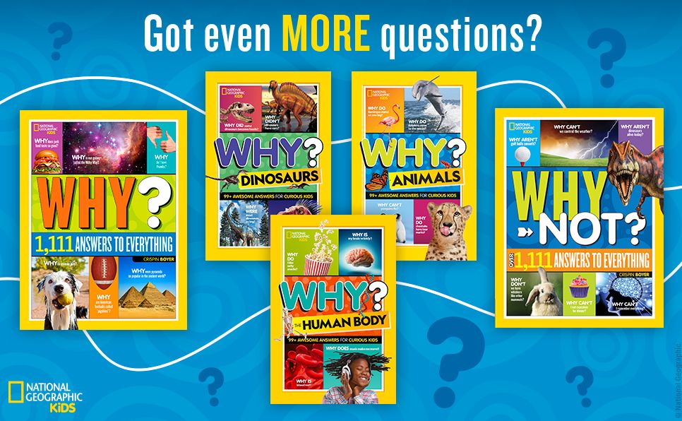 National Geographic Kids Why? Dinosaurs: 99+ Awesome Answers for Curious Kids