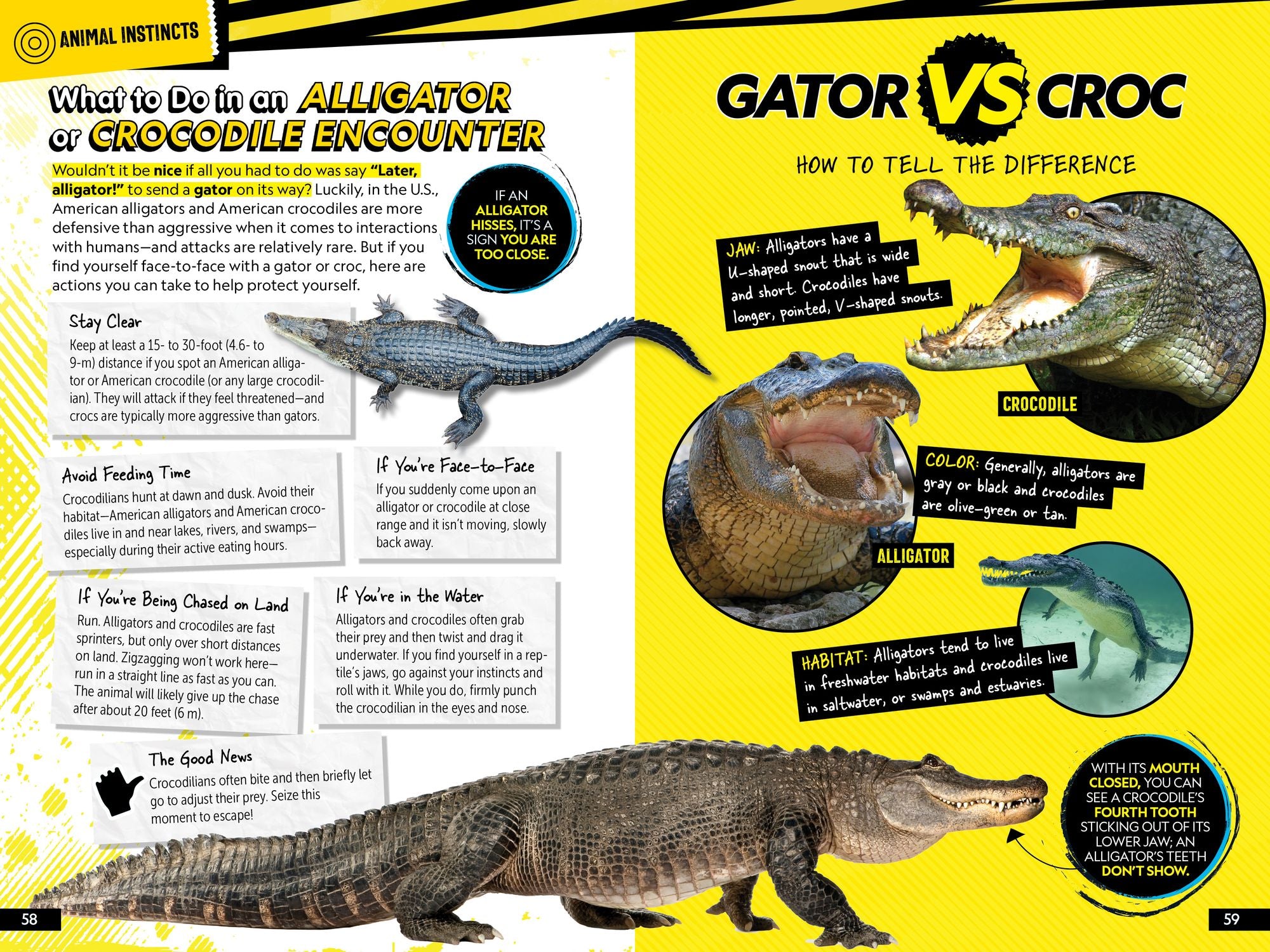 The Official National Geographic Kids Survival Guide