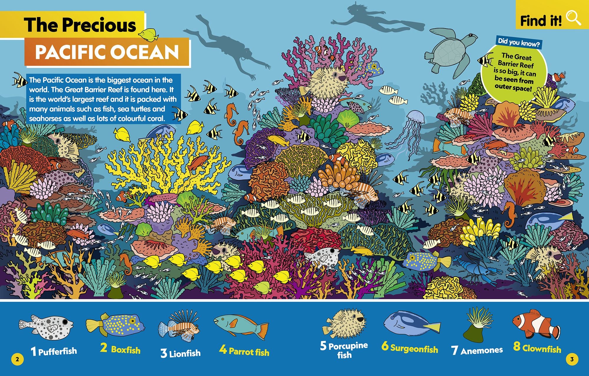 Find It! Explore It! Ocean
