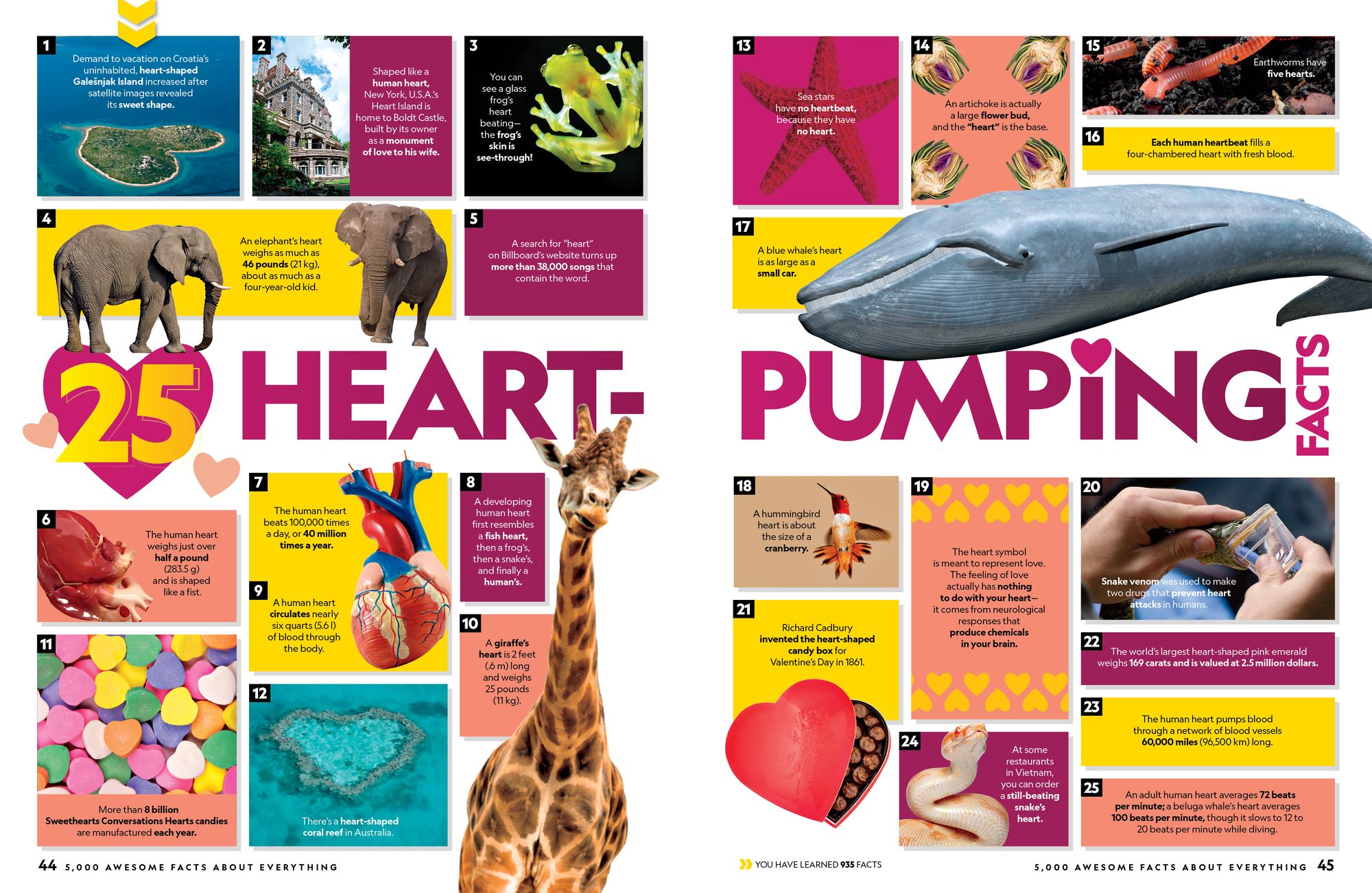 5,000 Awesome Facts (About Everything!): Updated and Expanded!: .