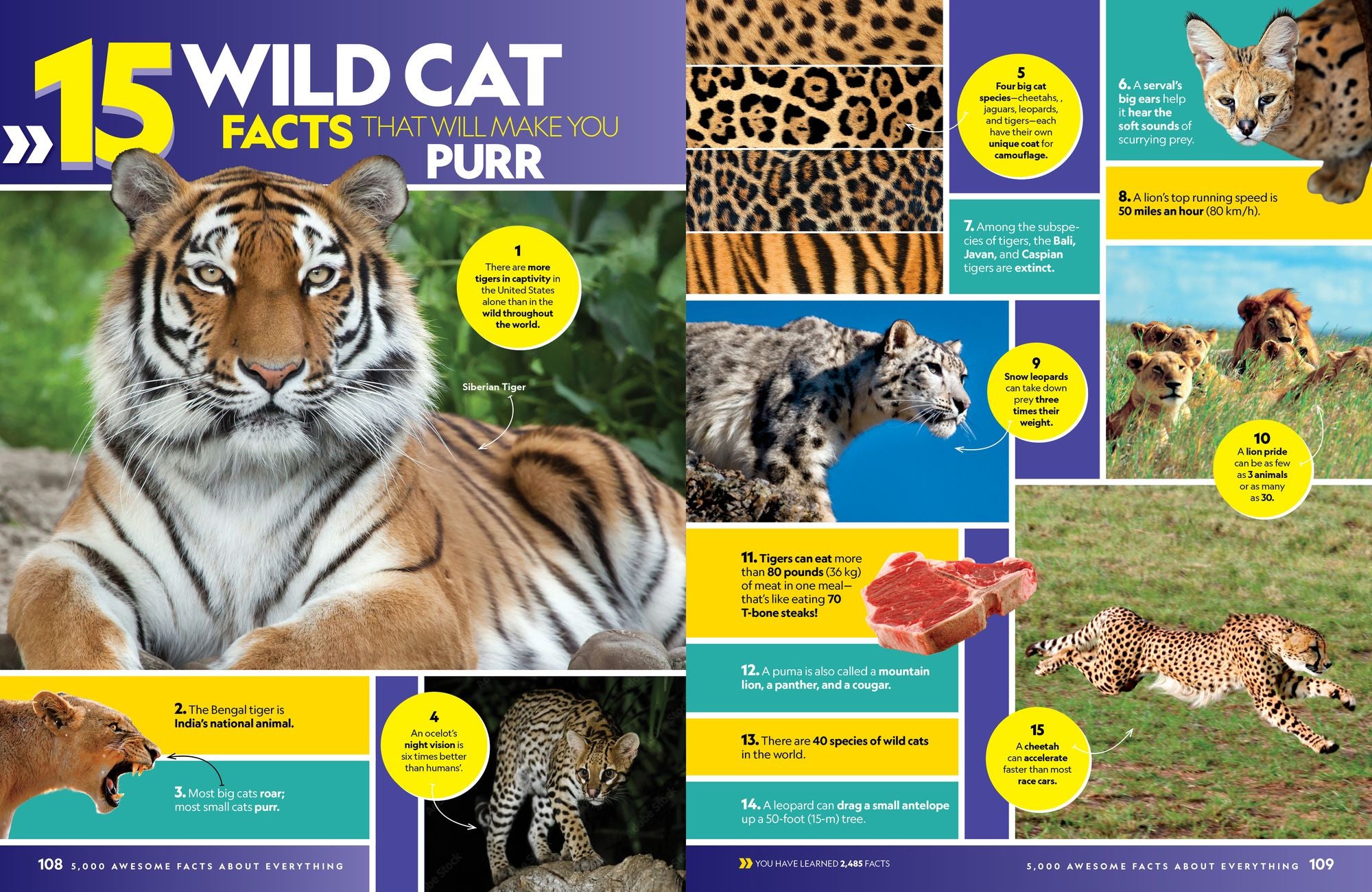 5,000 Awesome Facts (About Everything!): Updated and Expanded!: .