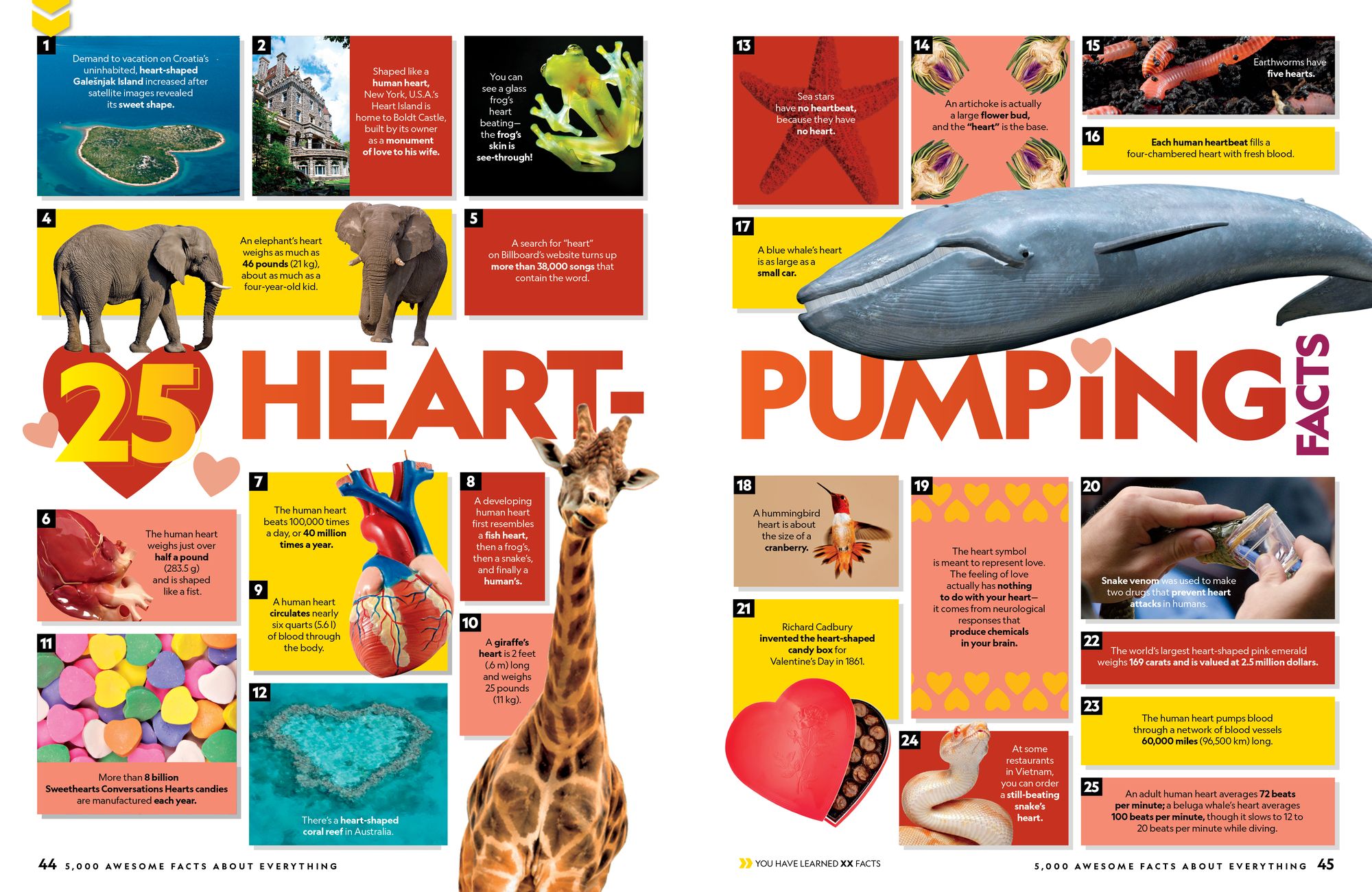 5,000 Awesome Facts (About Everything!): Updated and Expanded!: .
