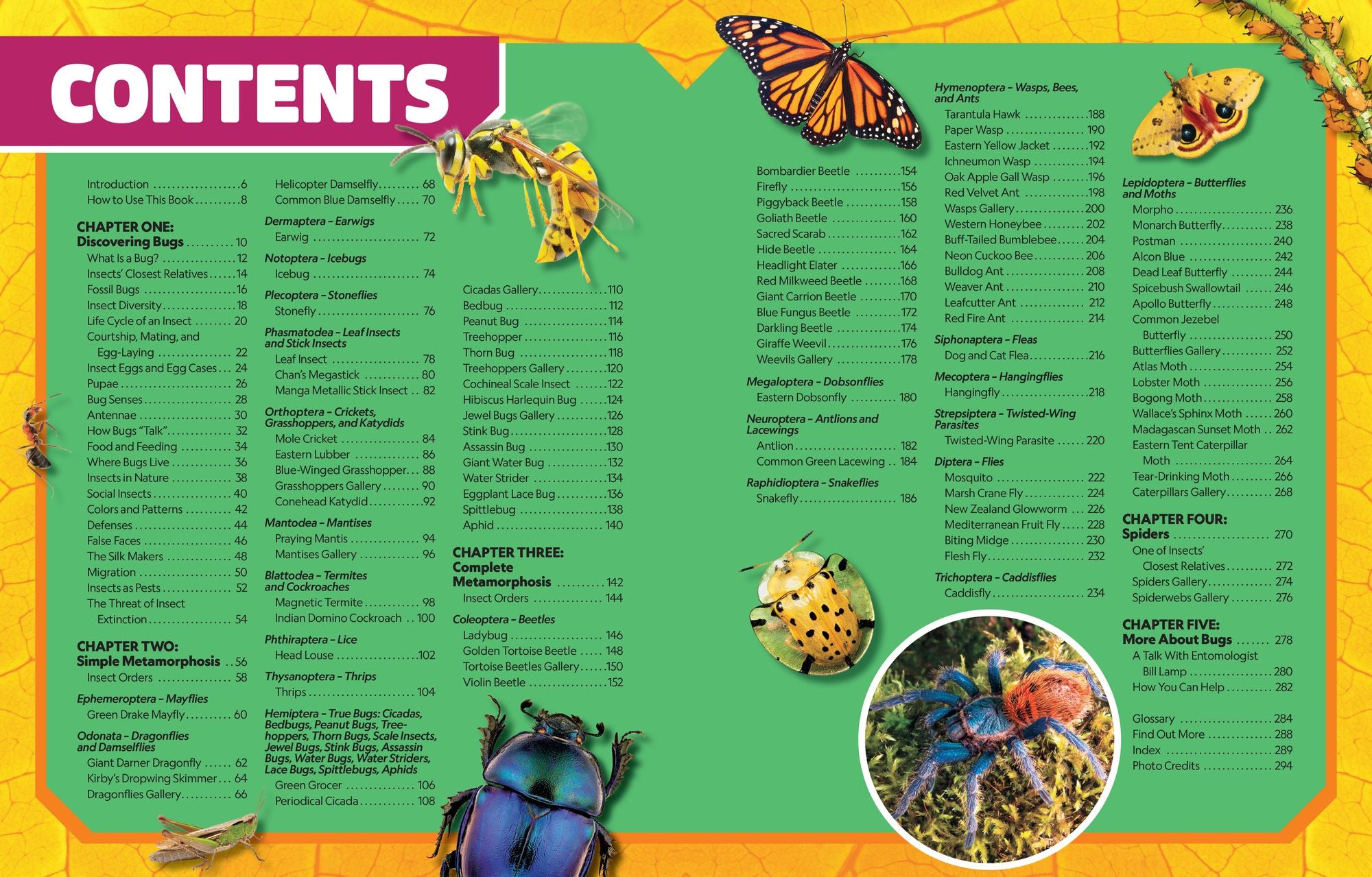 National Geographic Kids Ultimate Bugopedia, 2nd Edition: The Most Complete Bug Reference Ever