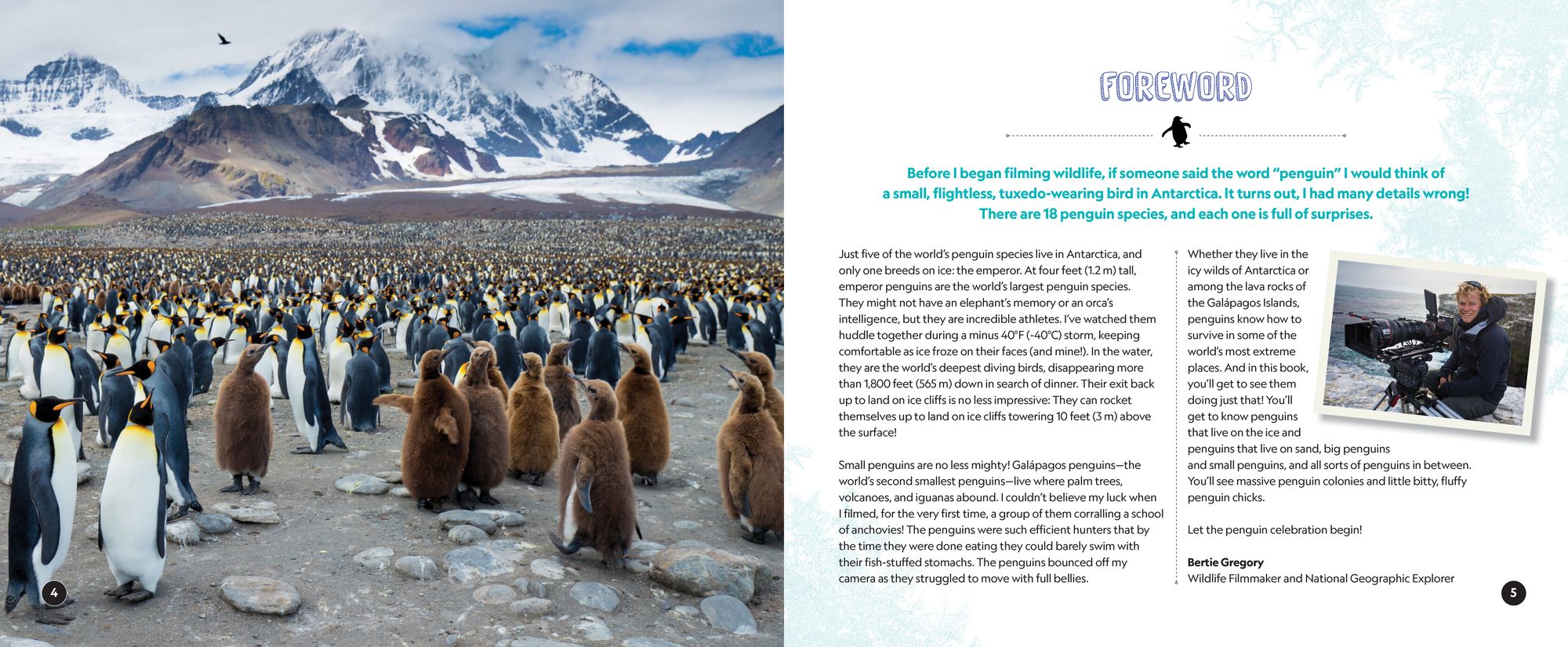 Penguin Palooza: A Fun, Photo-Filled Picture Book Celebration of All Things Penguin!