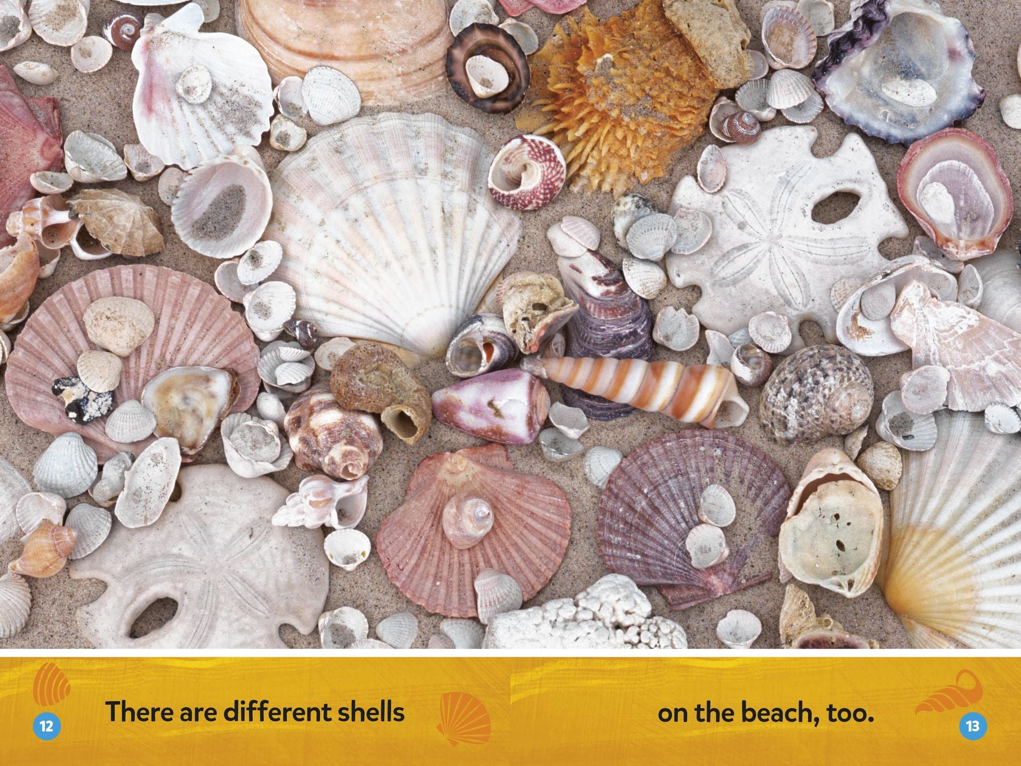 Make a Splash Collection (National Geographic Kids Readers, Pre-Reader): Five Books in One!