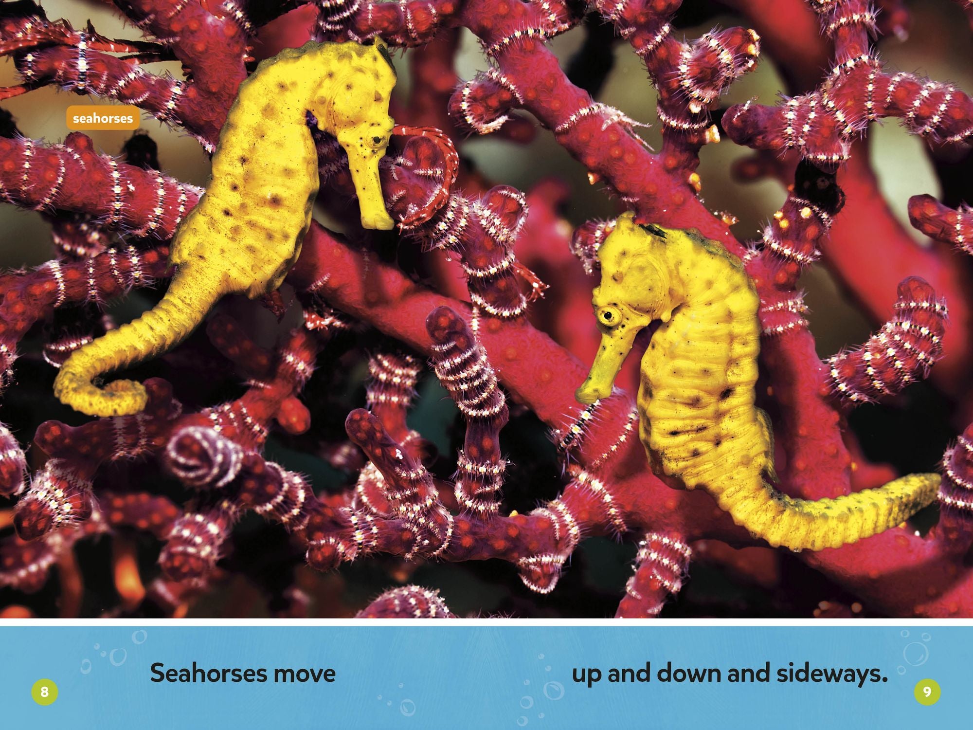 Make a Splash Collection (National Geographic Kids Readers, Pre-Reader): Five Books in One!