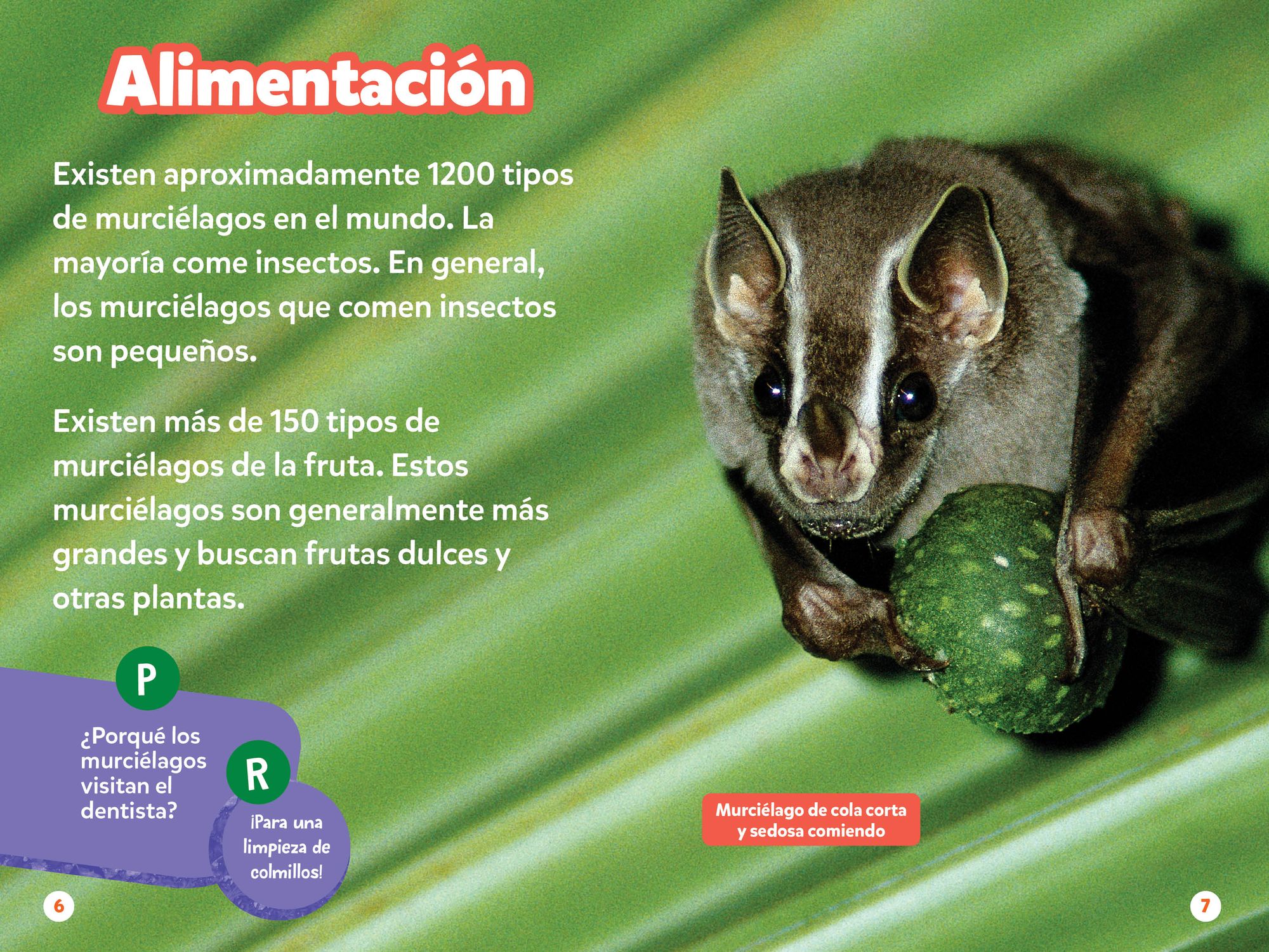 National Geographic Readers: Los Murciélagos