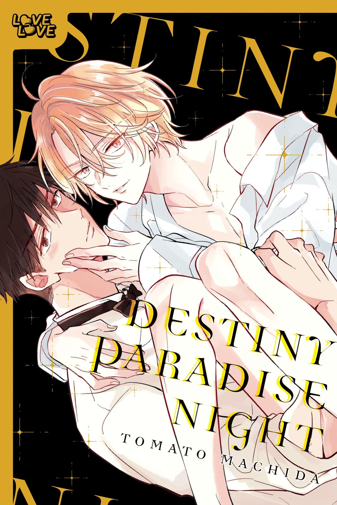 Destiny Paradise Night