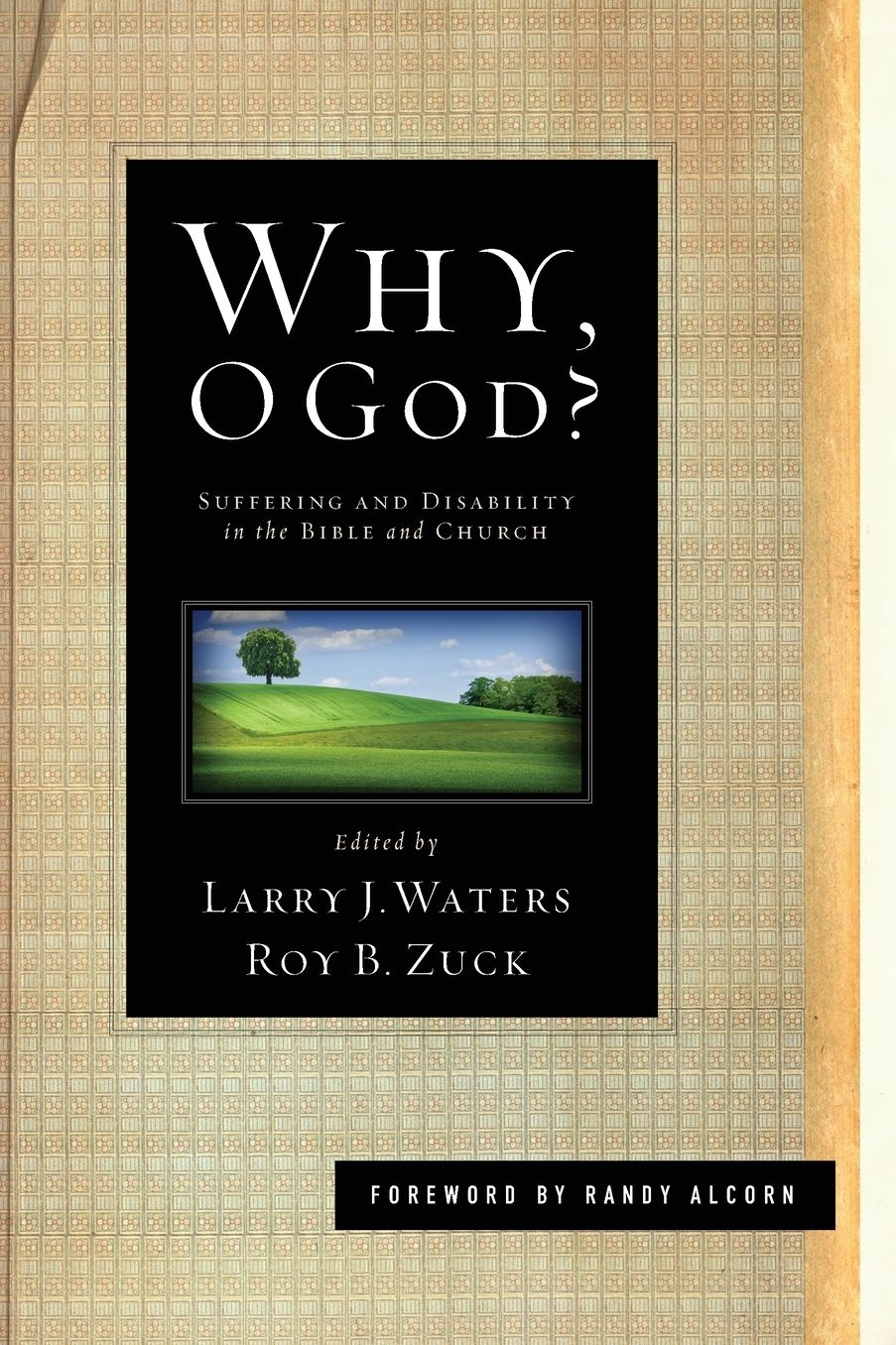 Why, O God?: Suffering and Disability in the Bible and the Church