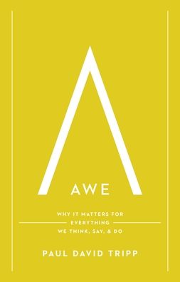 Awe: Why It Matters for Everything We Think, Say, and Do (with Study Questions)