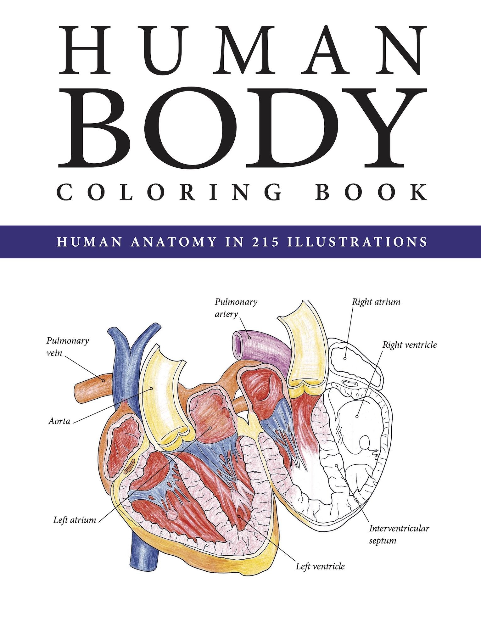The Human Body Coloring Book