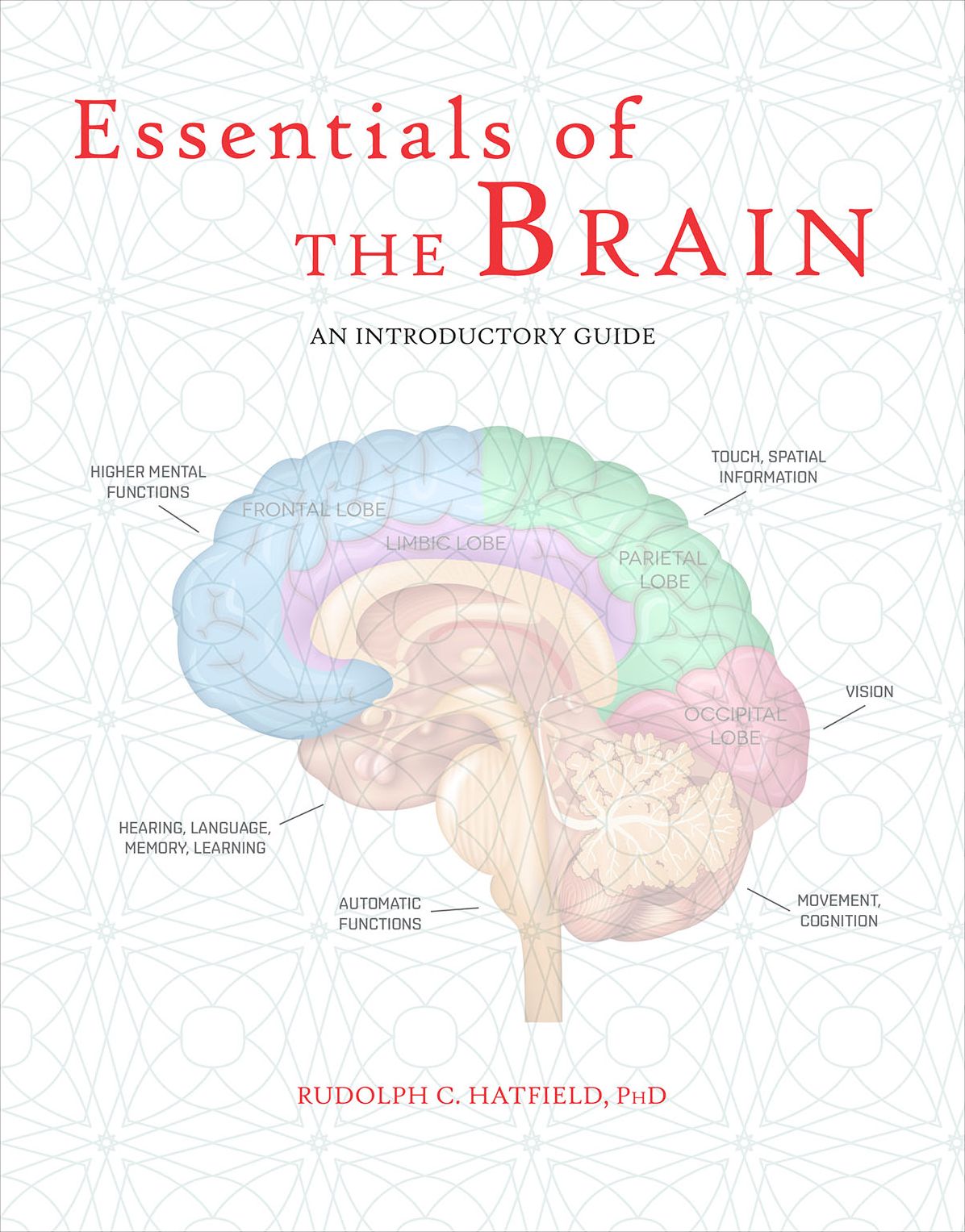 Essentials of the Brain: An Introductory Guide