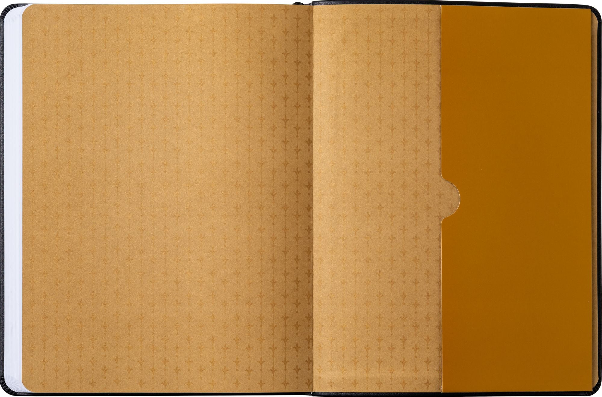 2026 Barnes & Noble Desk Diary (12 Mth Softcover)