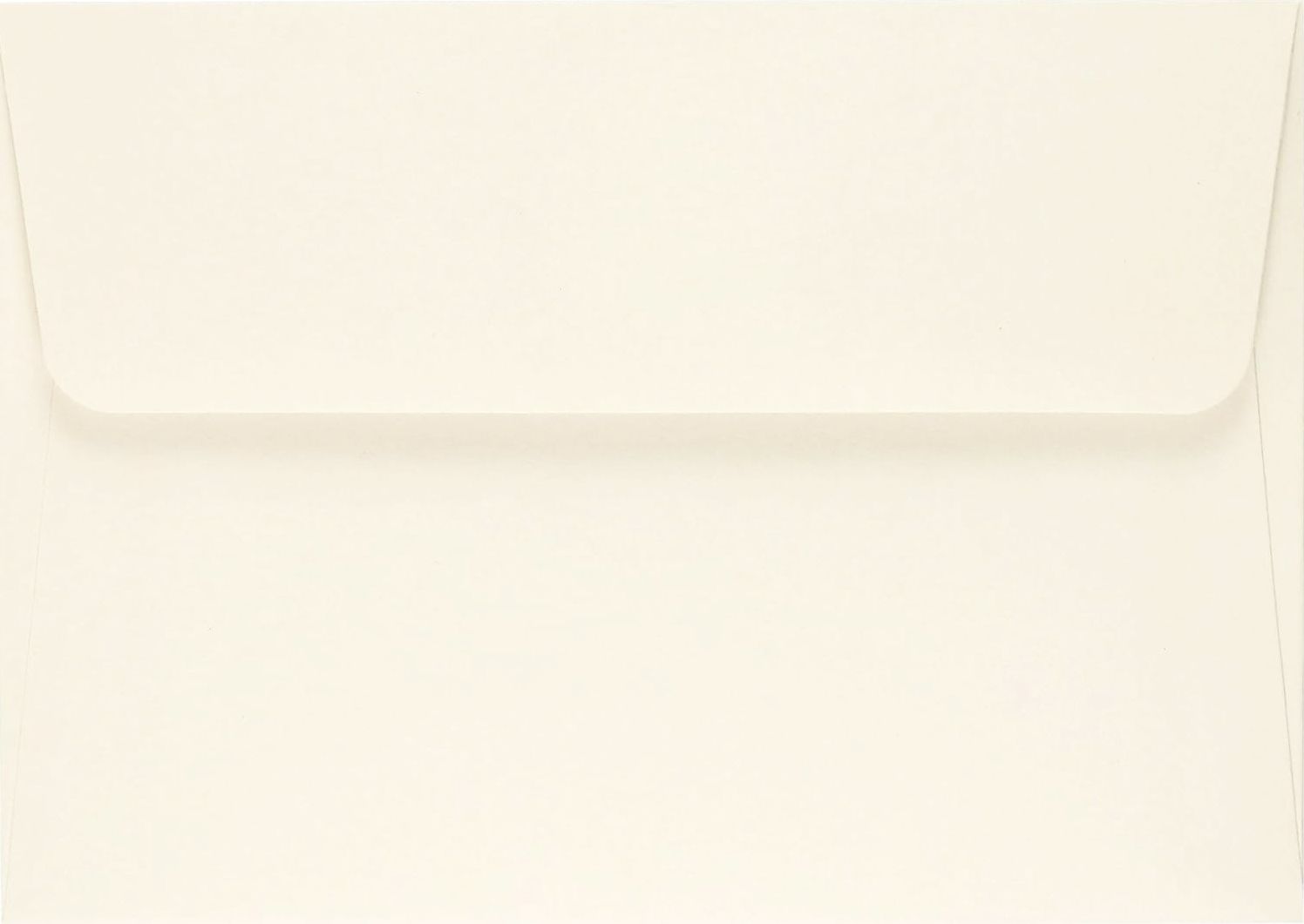 Mushrooms Note Cards