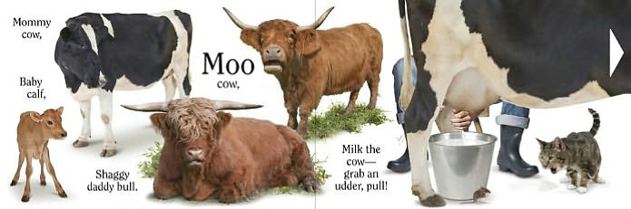 Moo