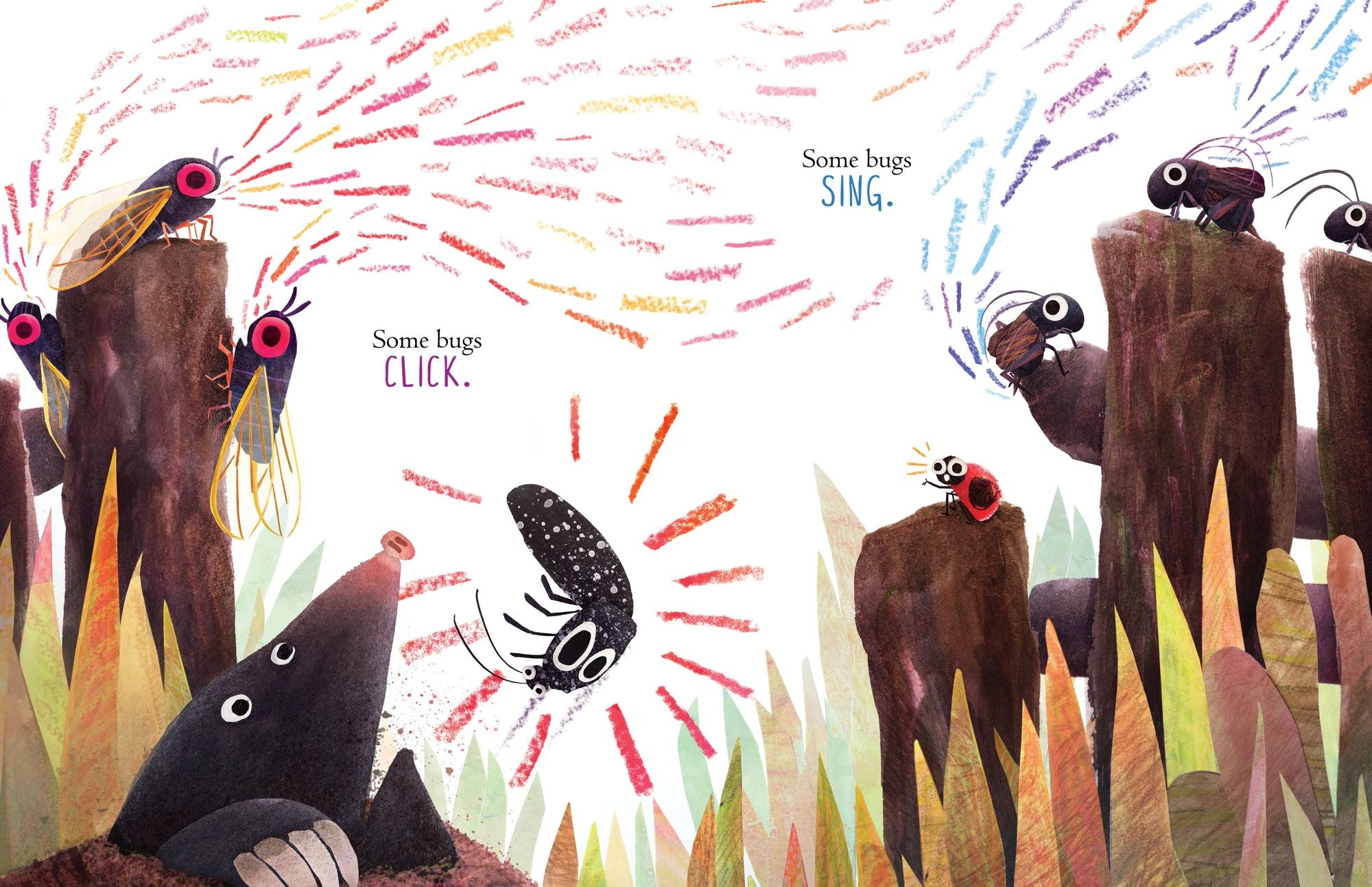 Some Bugs