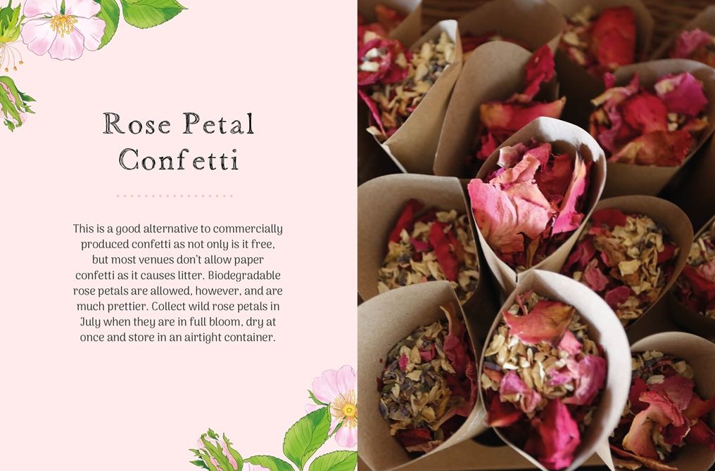 The Little Wild Library: Wild Rose: Simple things to do with the plants around you.