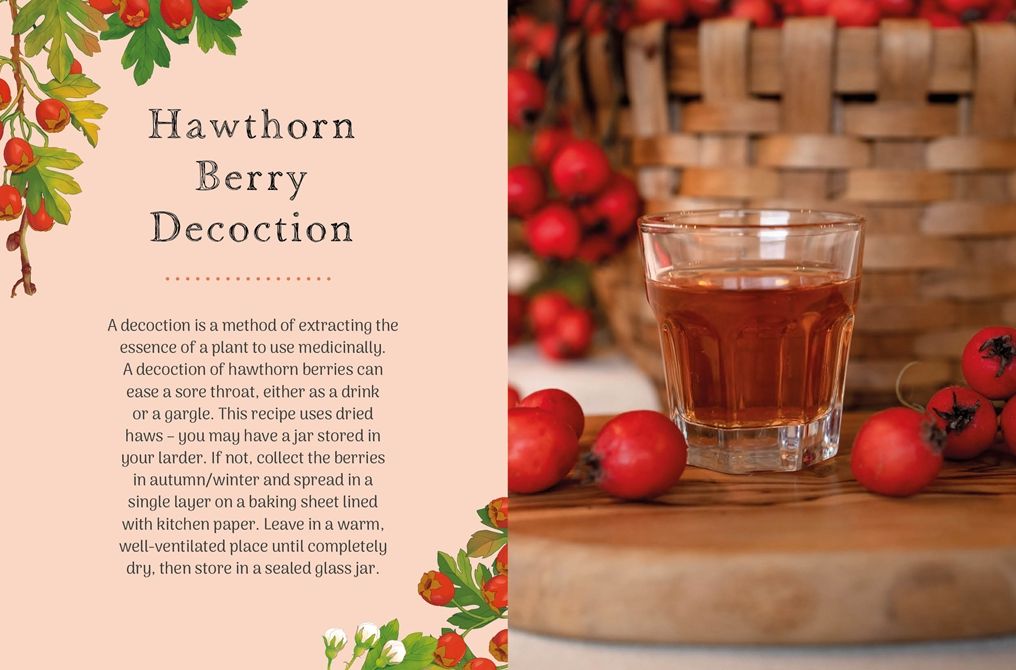 The Little Wild Library: Hawthorn: Simple things to do with the plants around you.