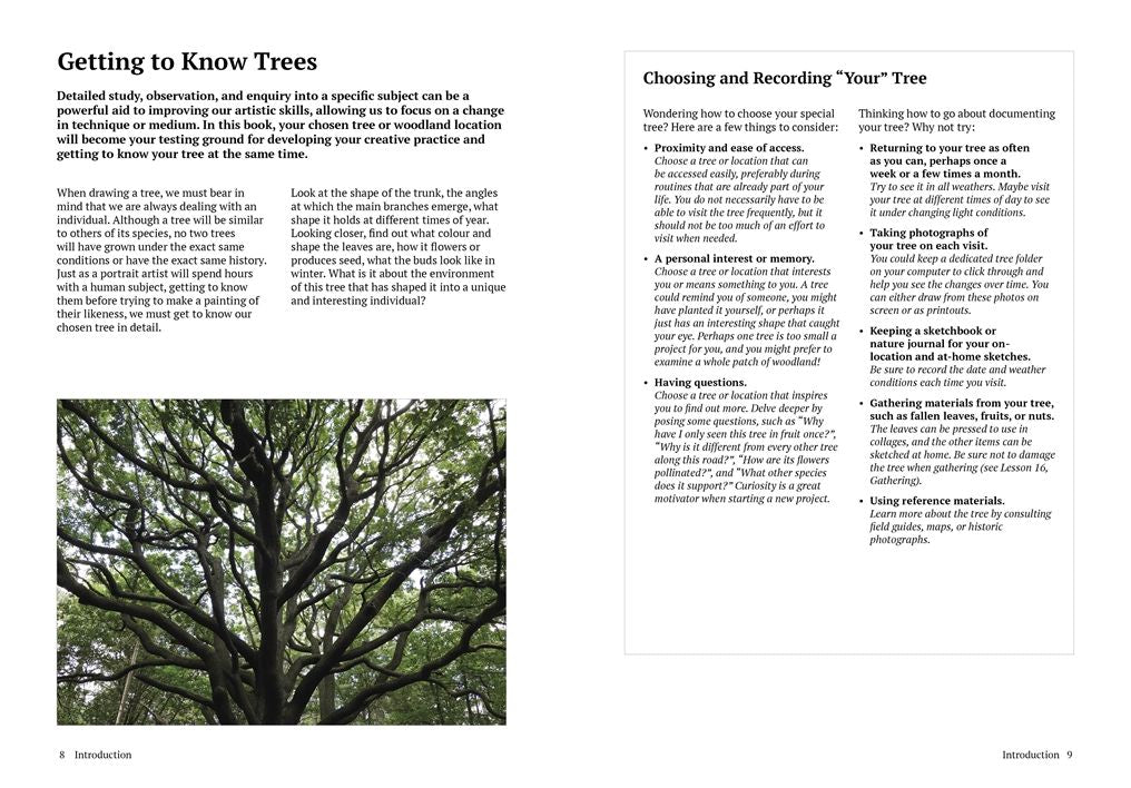 How to Draw a Tree: From the Fruit to the Forest: A Step-by-Step Course for the Nature Artist