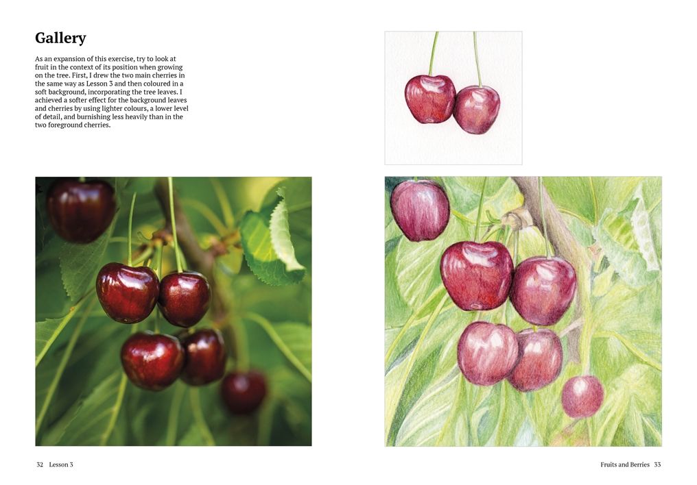 How to Draw a Tree: From the Fruit to the Forest: A Step-by-Step Course for the Nature Artist