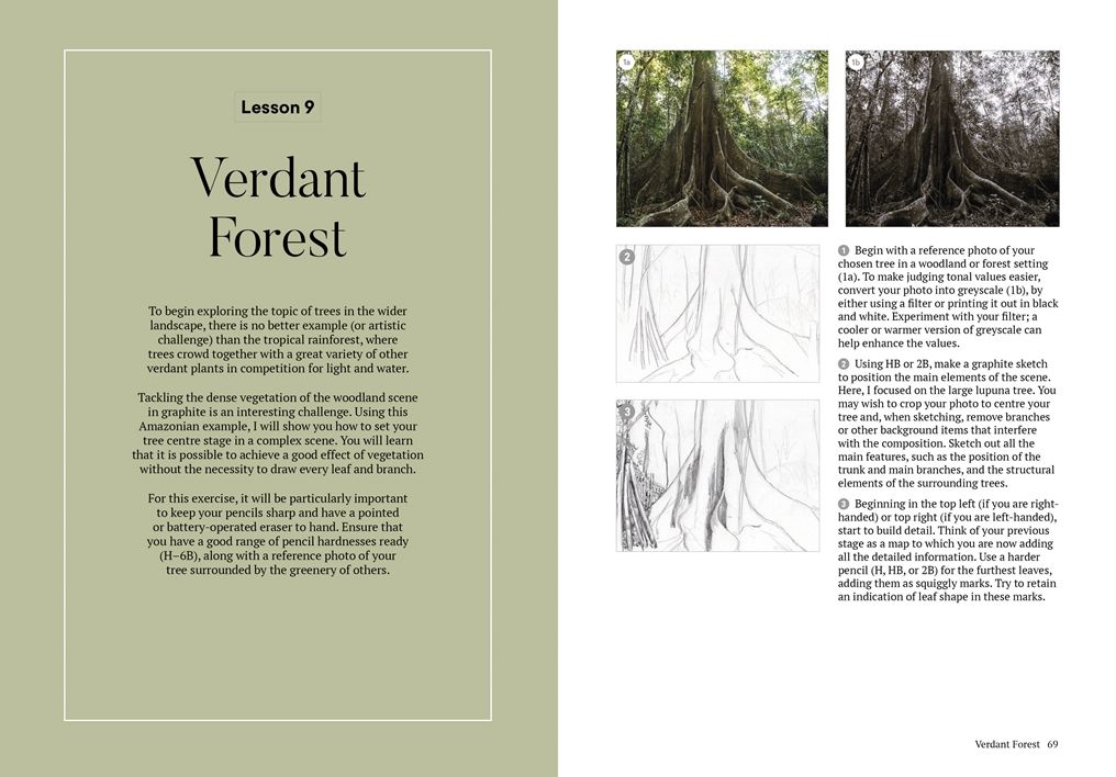How to Draw a Tree: From the Fruit to the Forest: A Step-by-Step Course for the Nature Artist
