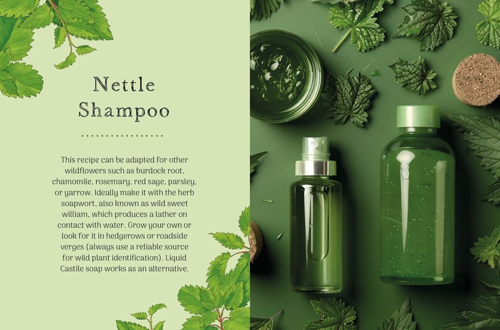 The Little Wild Library: Nettle: Simple things to do with the plants around you