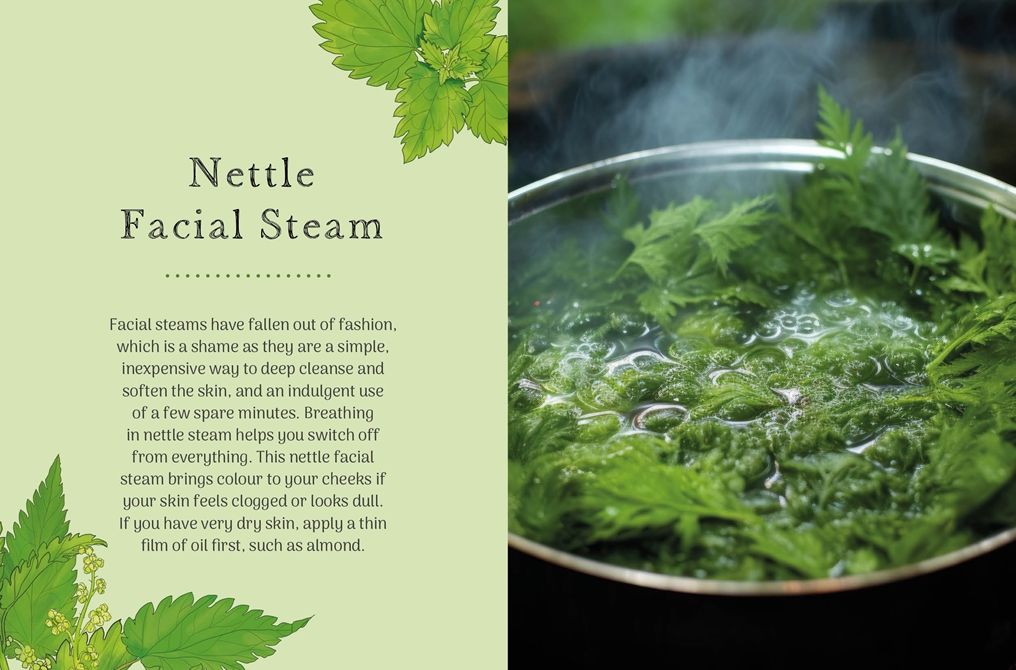 The Little Wild Library: Nettle: Simple things to do with the plants around you