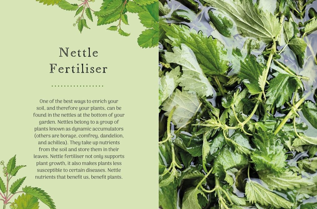 The Little Wild Library: Nettle: Simple things to do with the plants around you