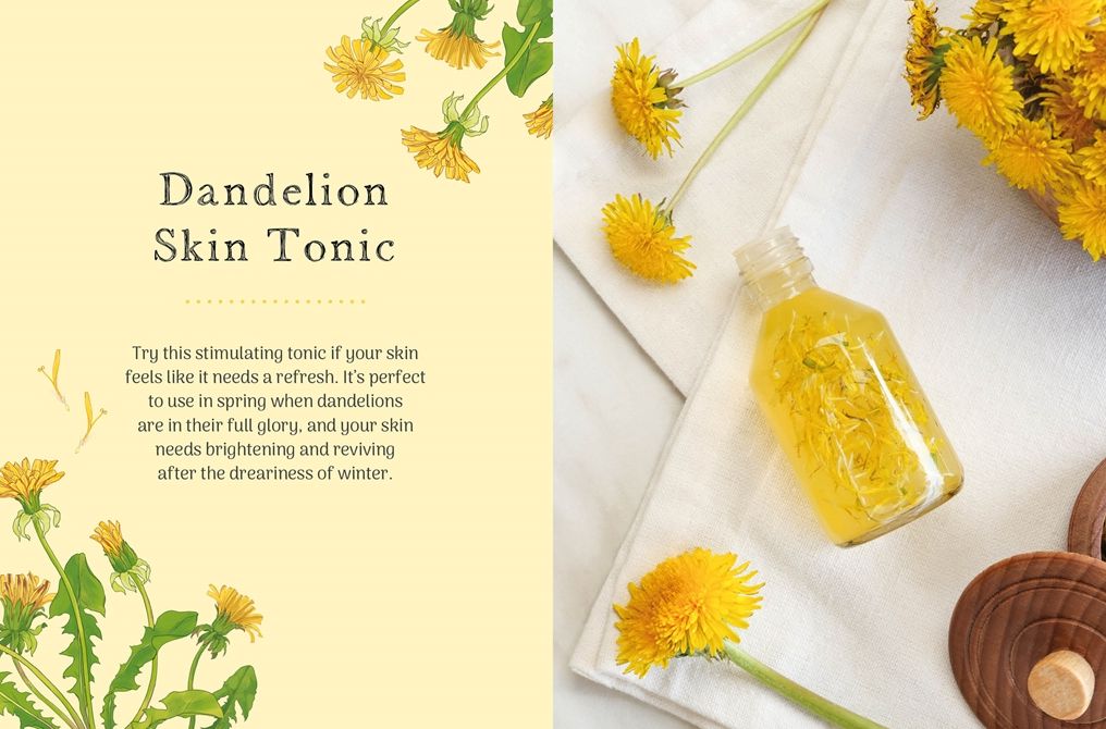 The Little Wild Library: Dandelion: Simple things to do with the plants around you.