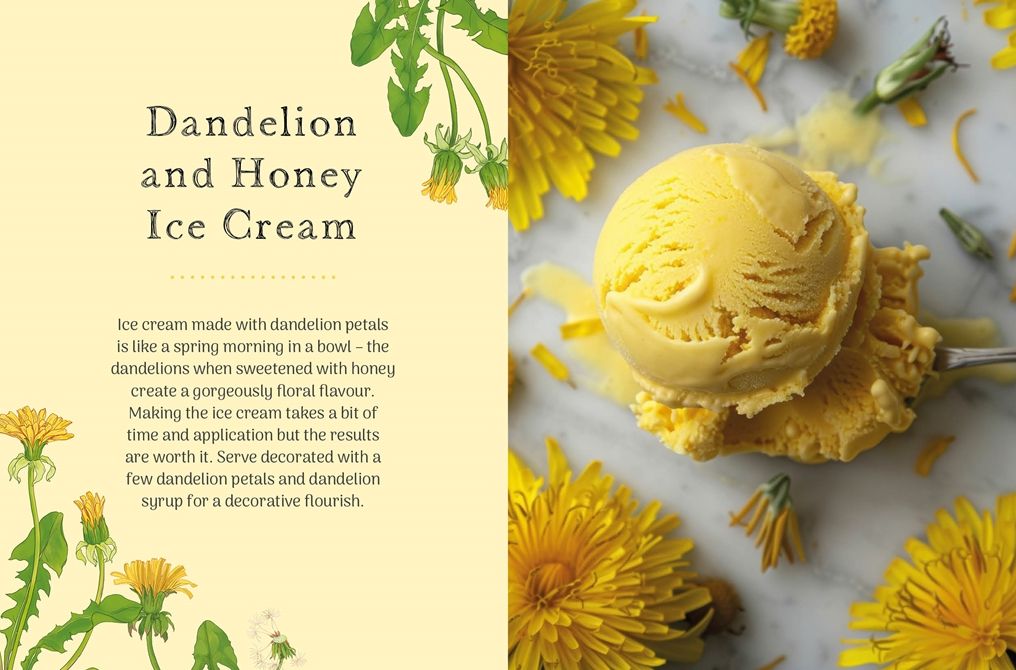 The Little Wild Library: Dandelion: Simple things to do with the plants around you.