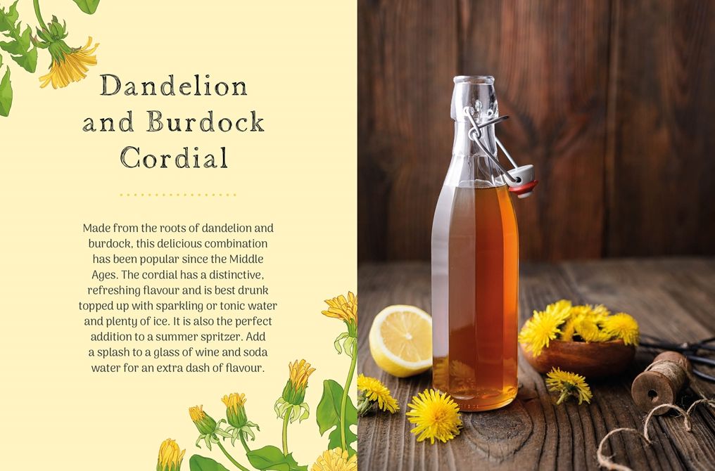 The Little Wild Library: Dandelion: Simple things to do with the plants around you.