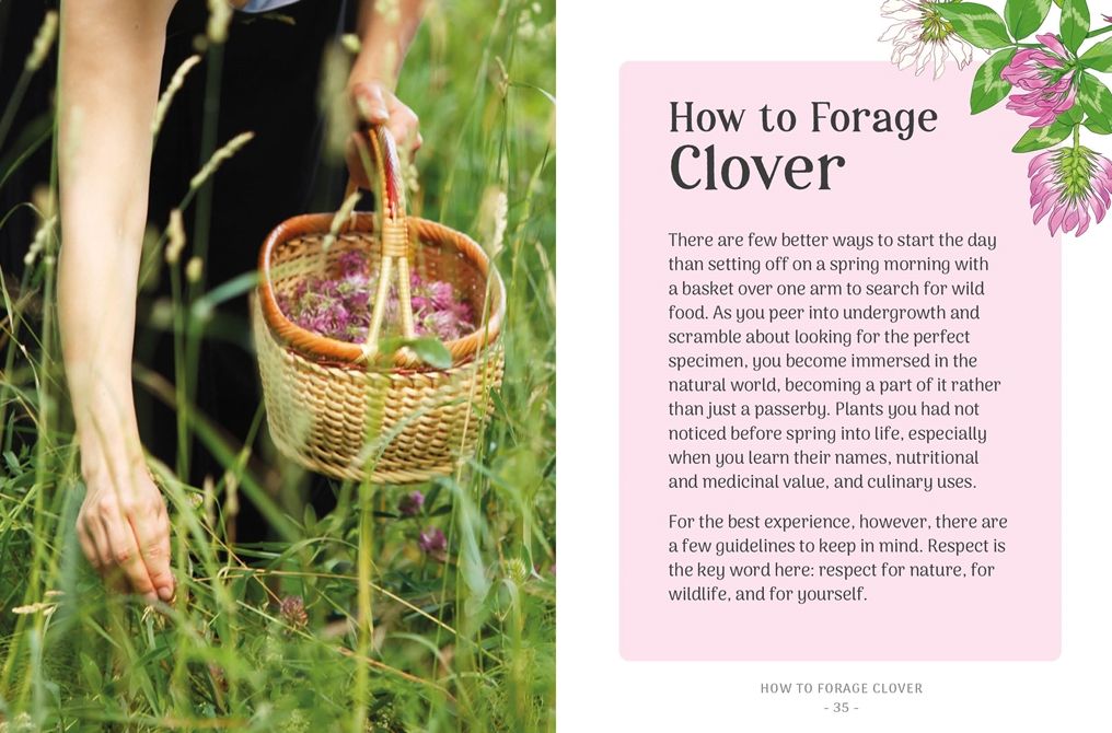 The Little Wild Library: Clover: Simple things to do with the plants around you.