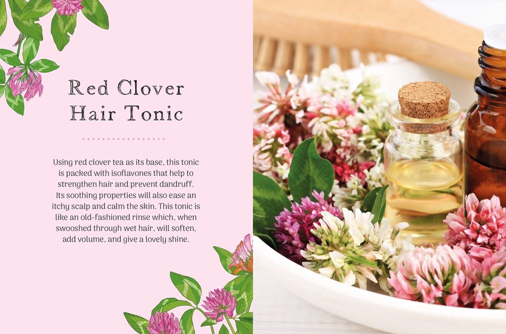The Little Wild Library: Clover: Simple things to do with the plants around you.