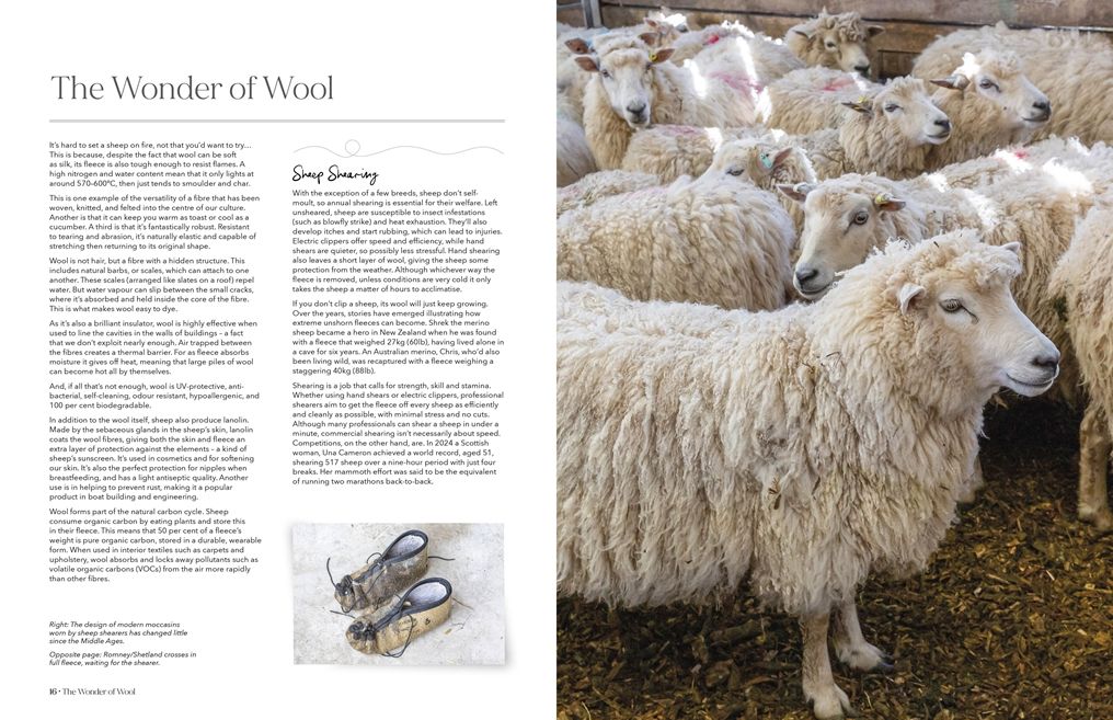 The Wonder of Wool: A knitter's guide to pure breed sheep