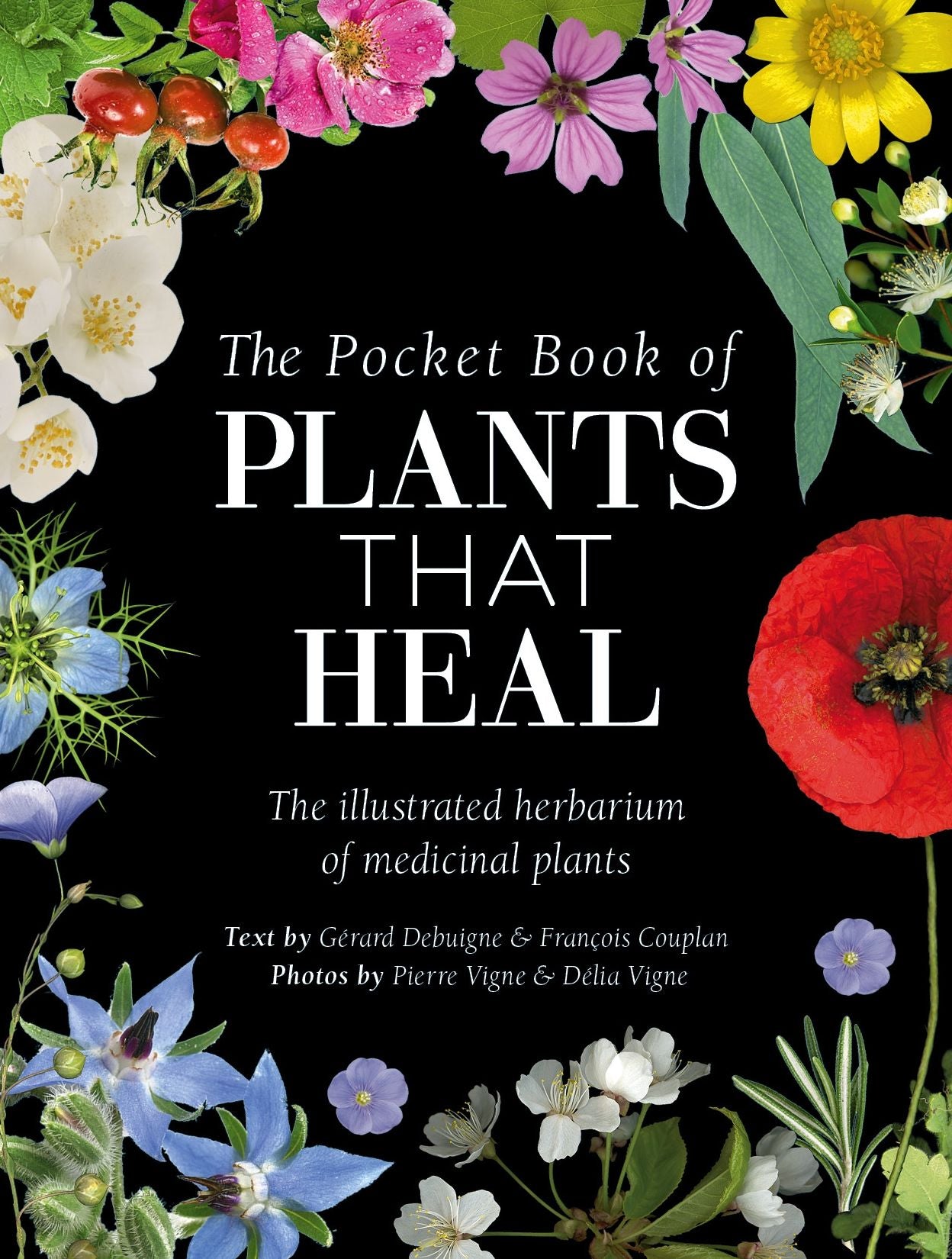 The Pocket Book of Plants that Heal: The illustrated herbarium of medicinal plants