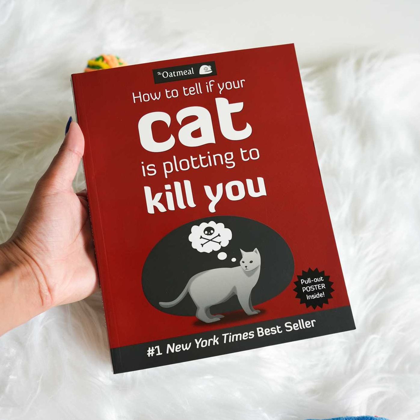 How to Tell If Your Cat Is Plotting to Kill You