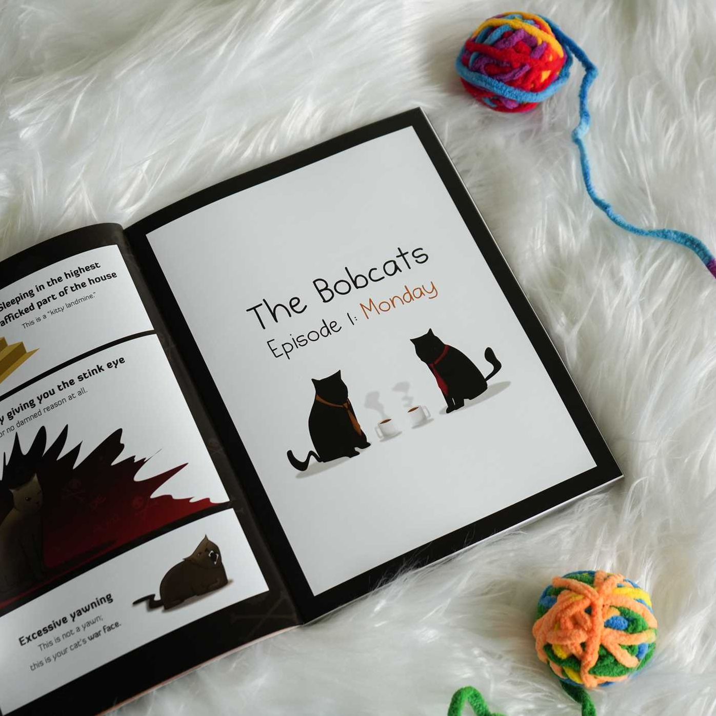 How to Tell If Your Cat Is Plotting to Kill You