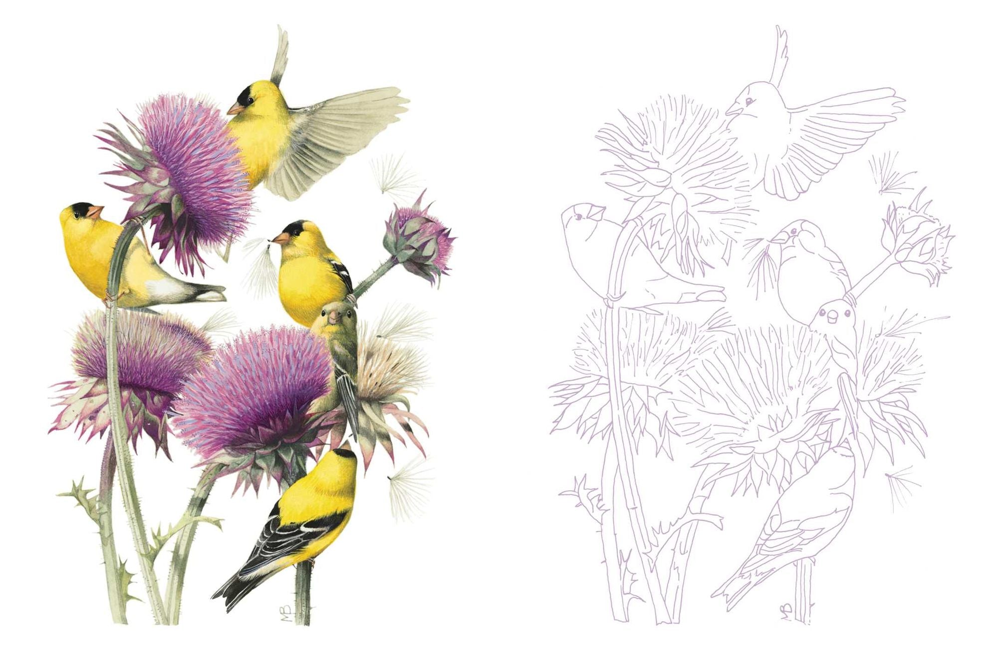 Posh Adult Coloring Book: Inspired by Nature