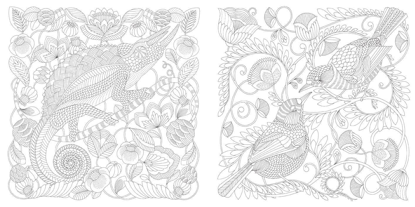 Millie Marotta's Wildlife Wonders: Favorite Illustrations from Coloring Adventures