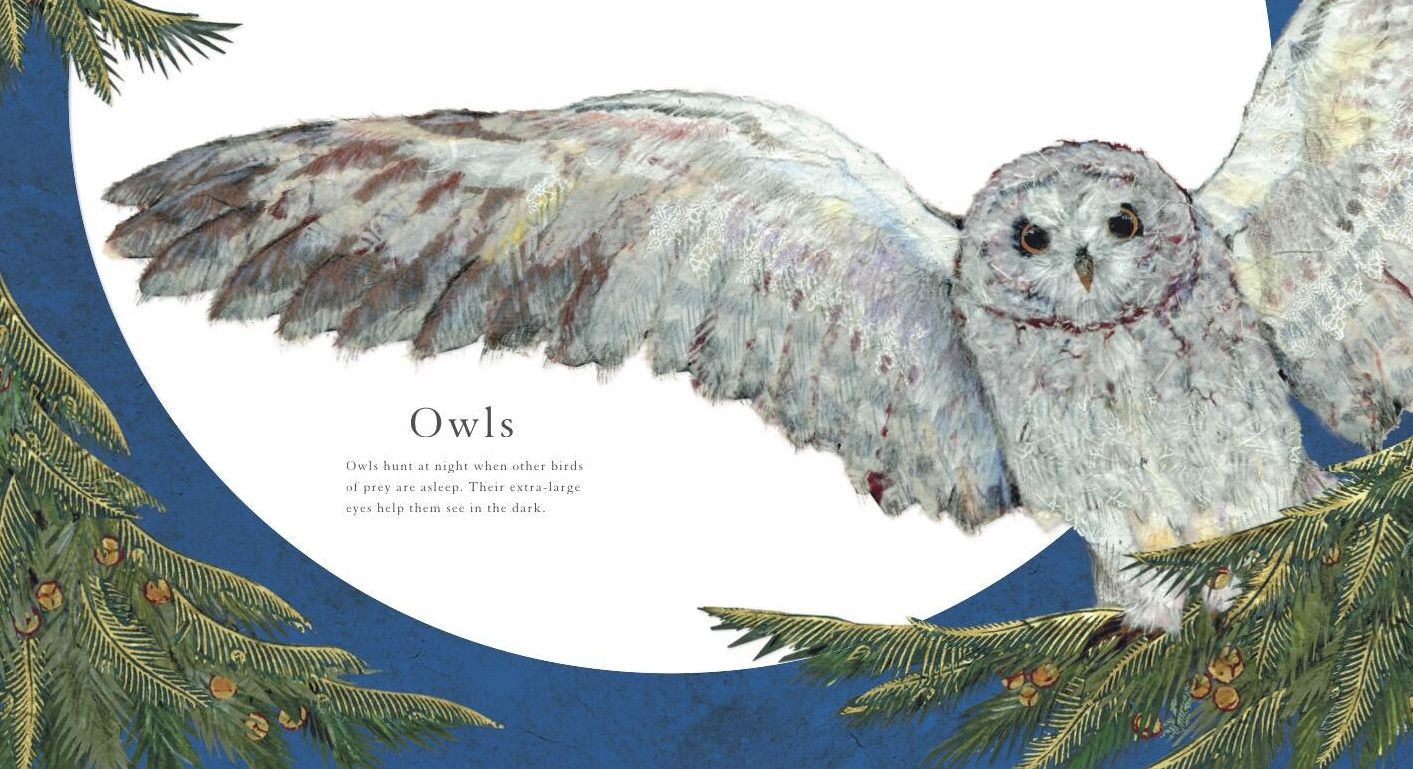 Who Is Awake in the Moonlight?