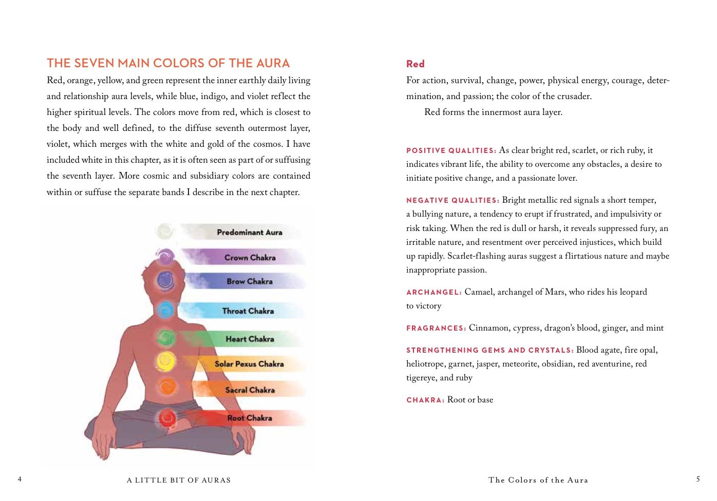 A Little Bit of Auras: An Introduction to Energy Fields