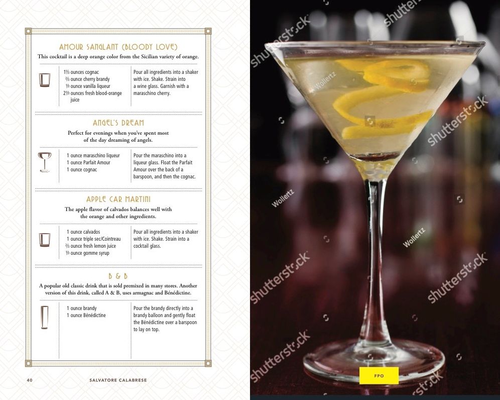 The Complete Home Bartender's Guide: Tools, Ingredients, Techniques, & Recipes for the Perfect Drink - A Cocktail Book